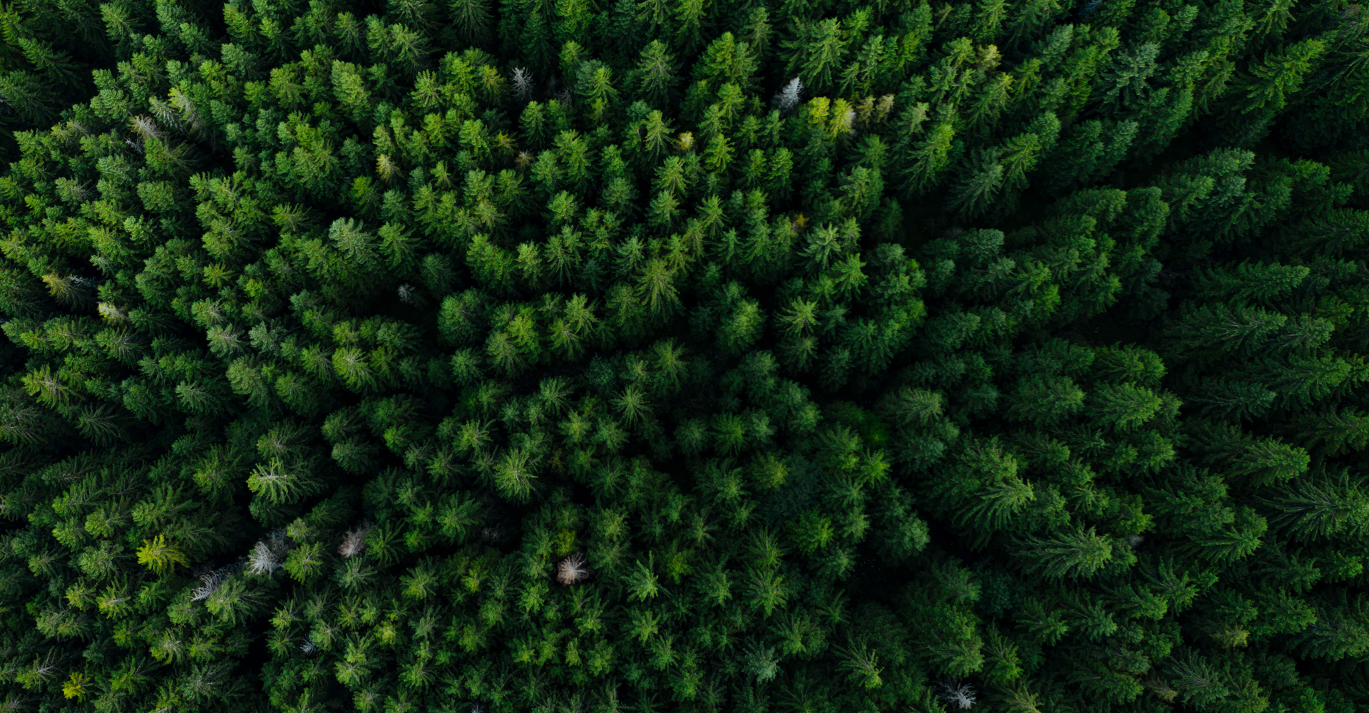 parallax background